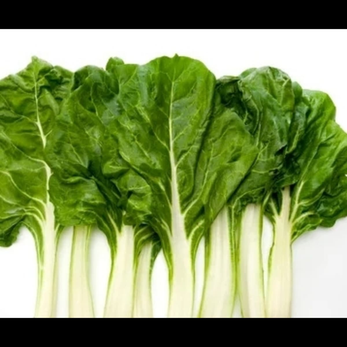 Imagen principal del producto