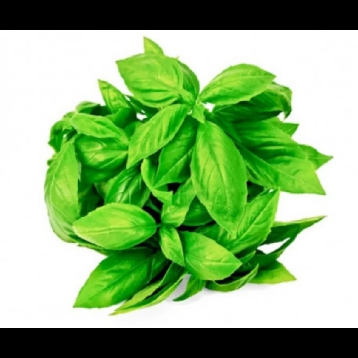 Imagen principal del producto