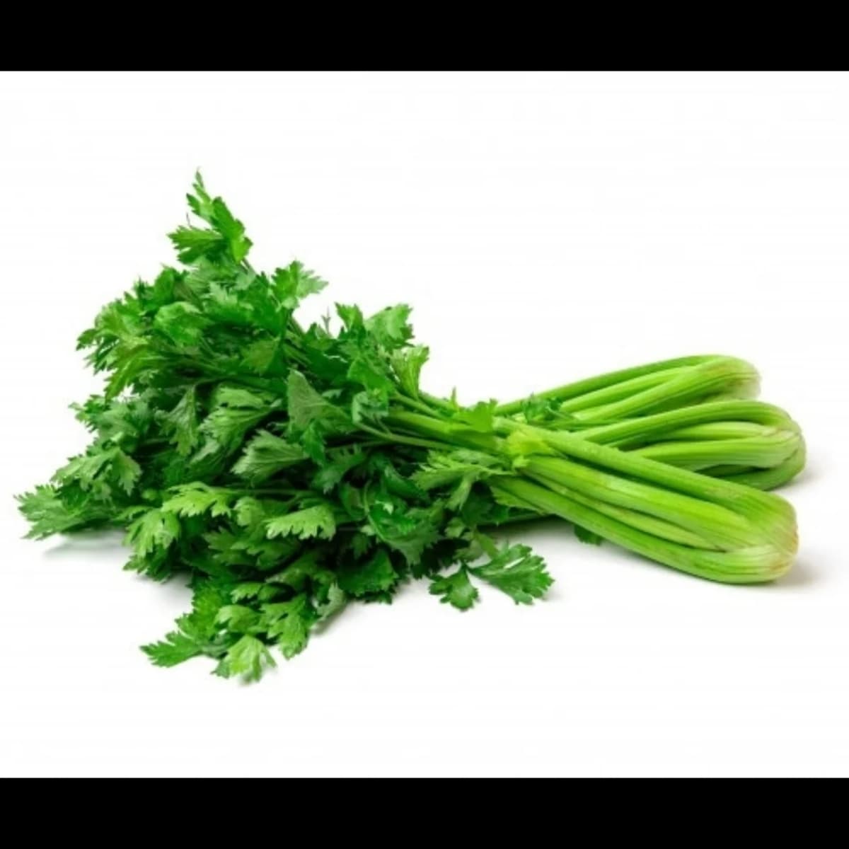 Imagen principal del producto