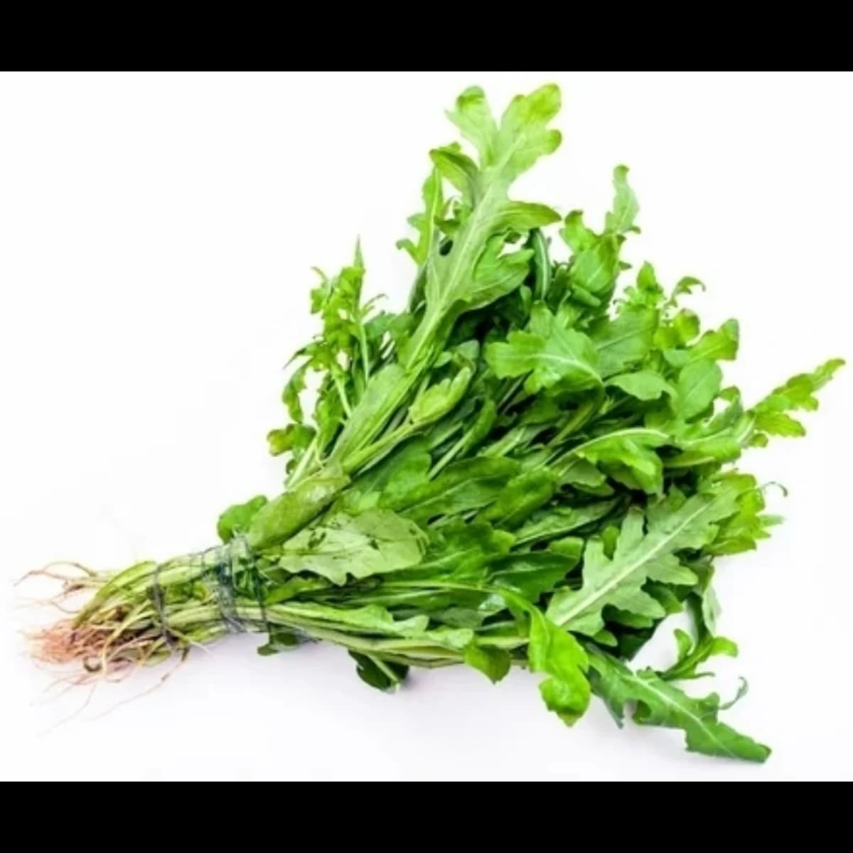 Imagen principal del producto