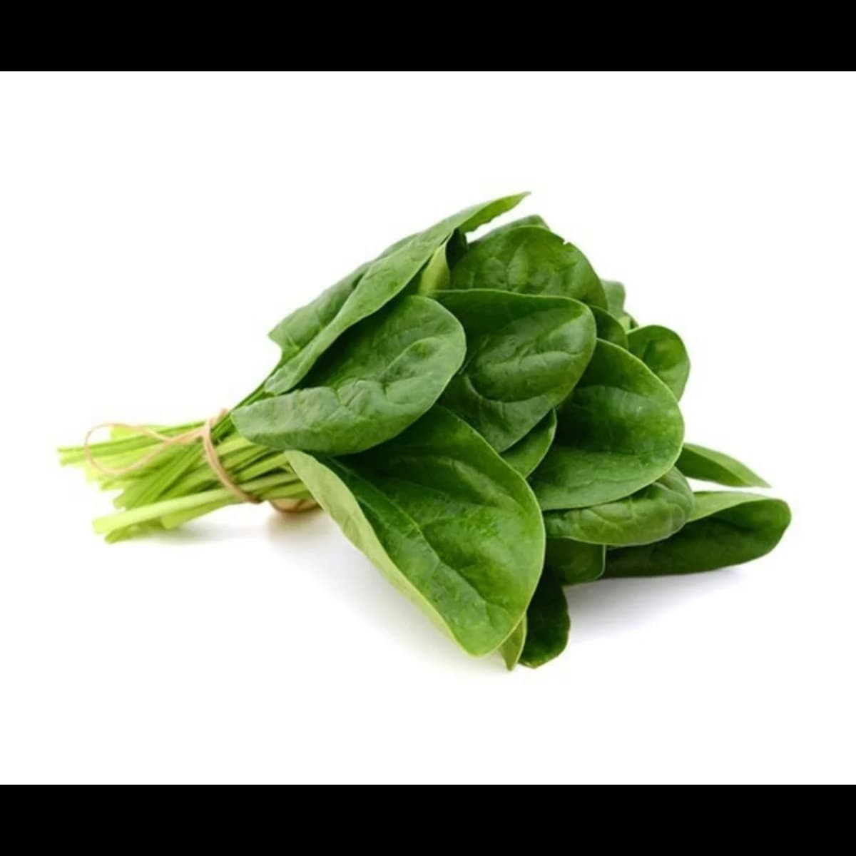 Imagen principal del producto