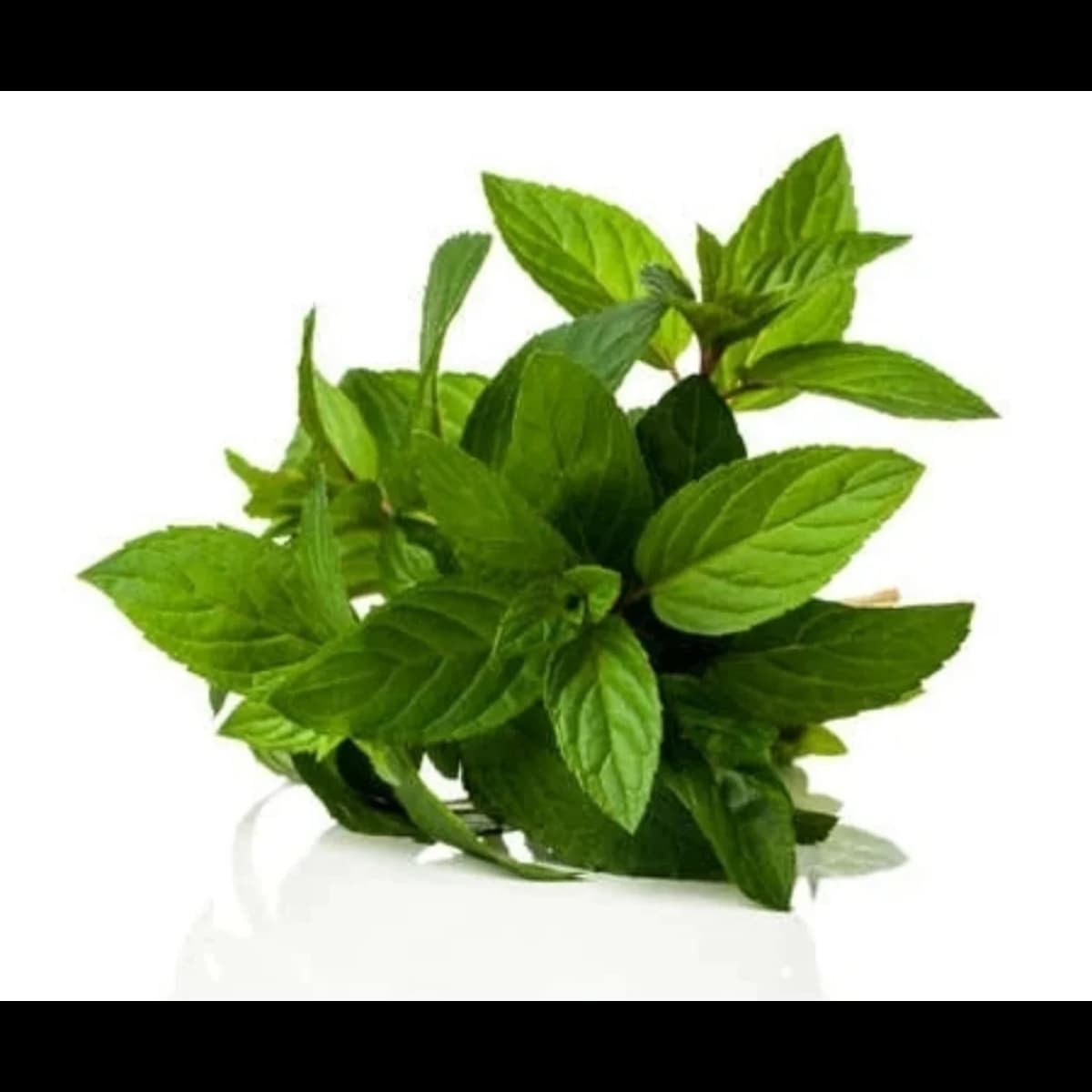 Imagen principal del producto