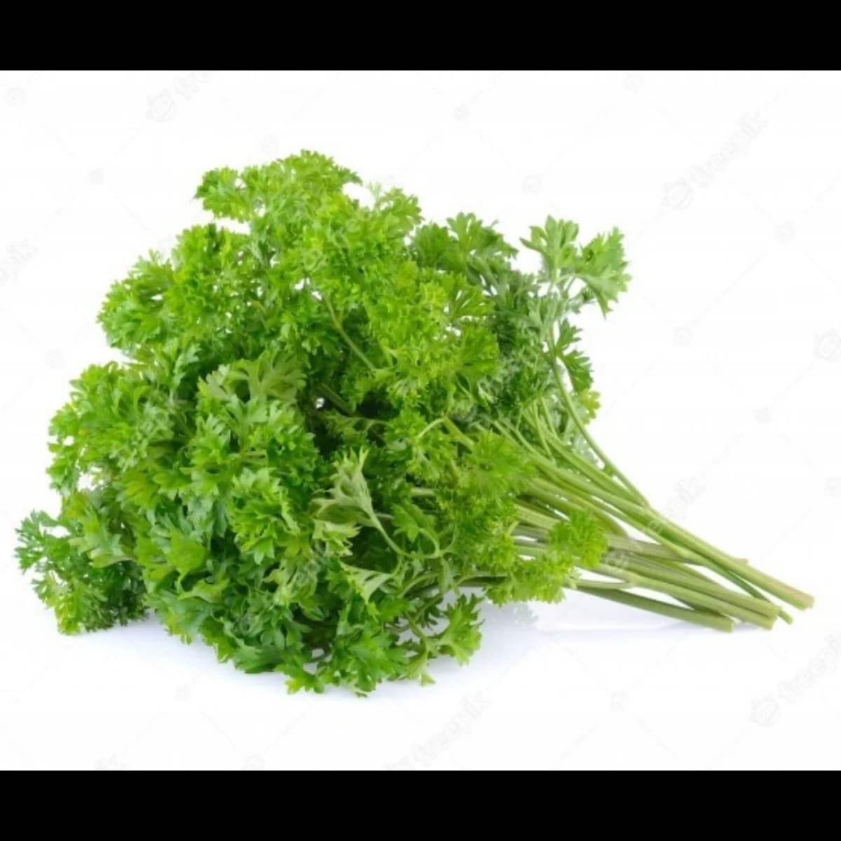 Imagen principal del producto