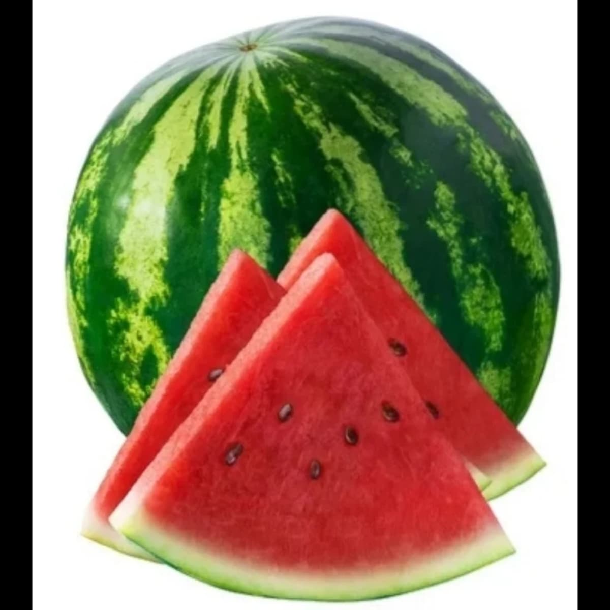 Imagen principal del producto