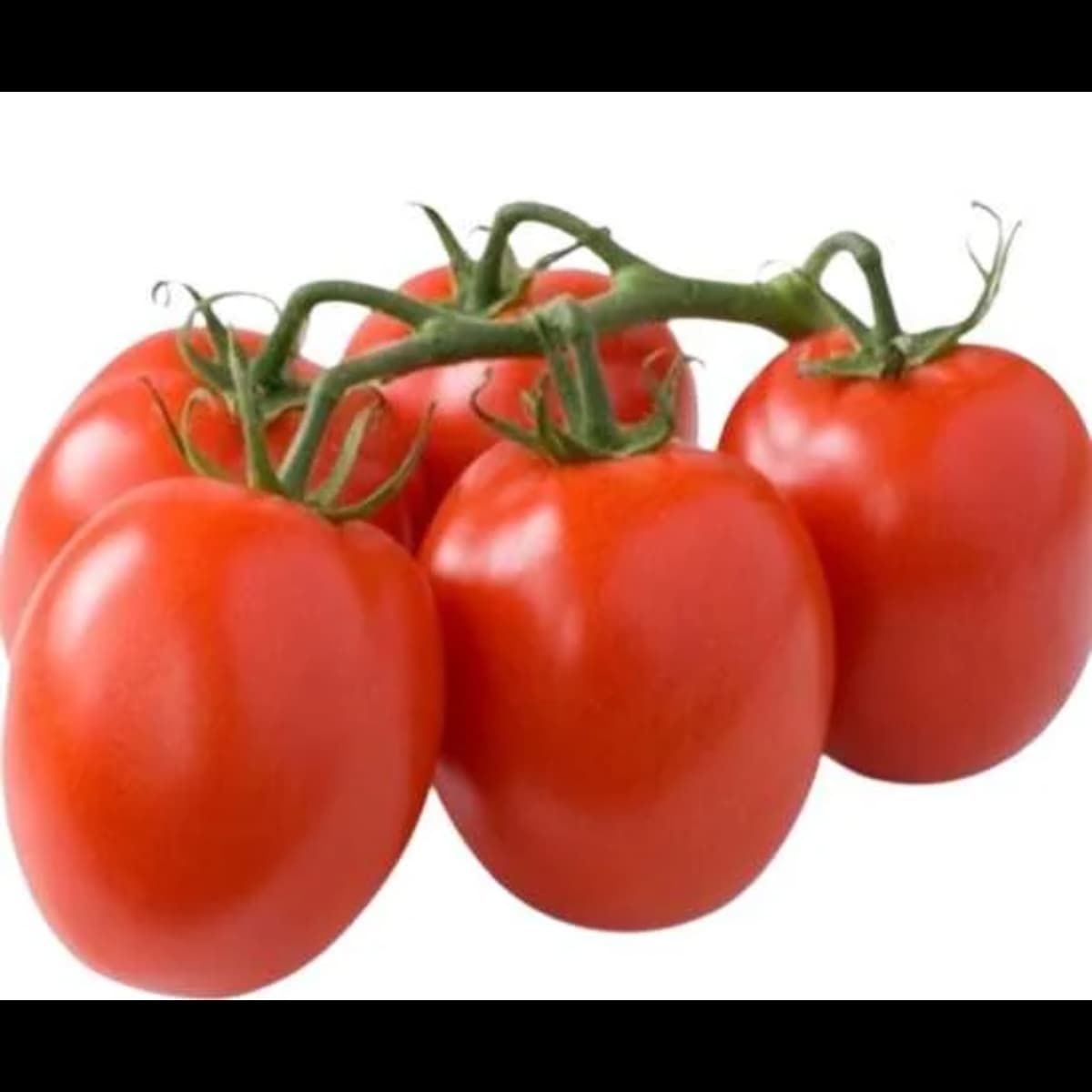 Imagen principal del producto