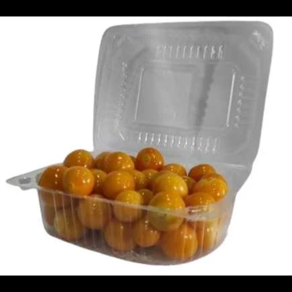 Imagen principal del producto